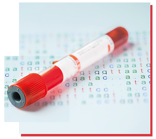 500EPM-Image-VP-Trans